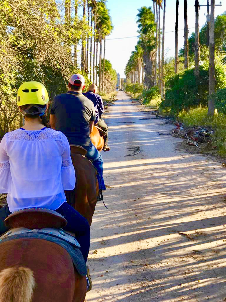 Riding Horses Near Toluca Ranch Drive Way