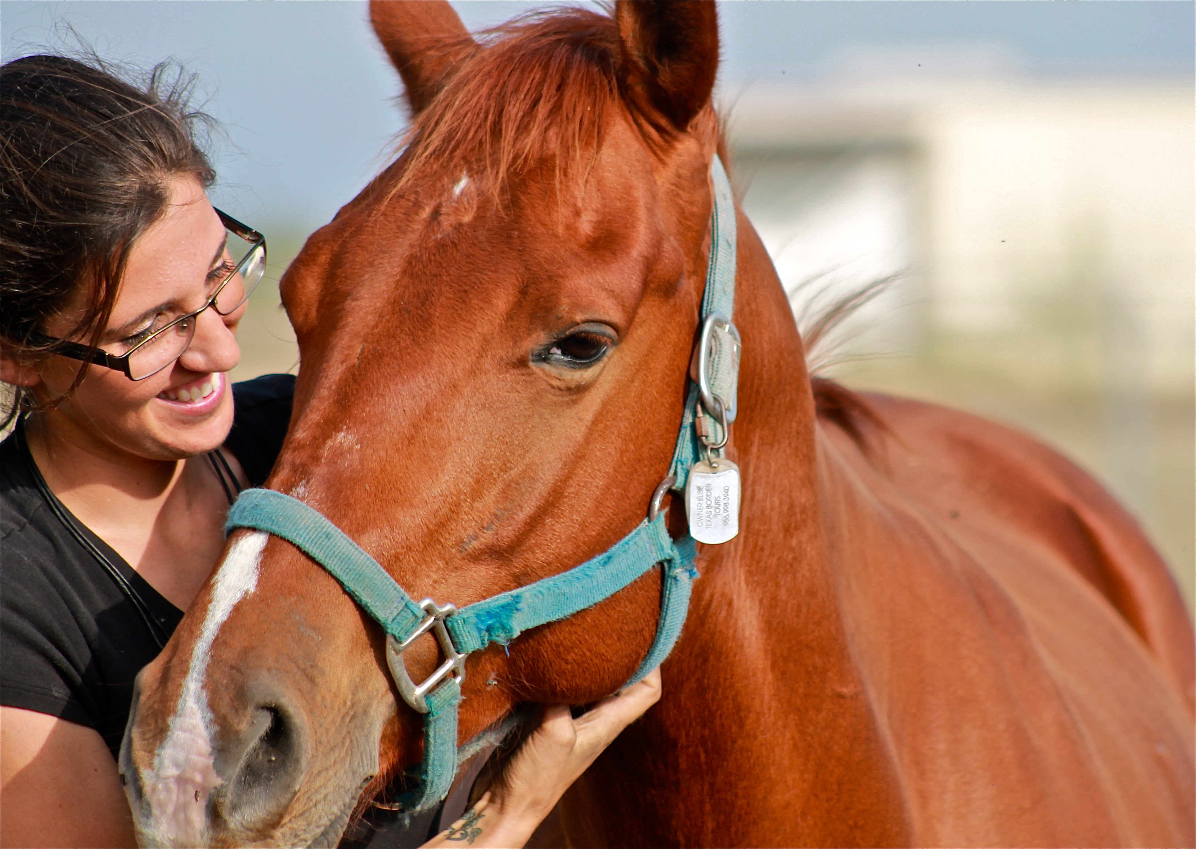 A Horse Named Poke